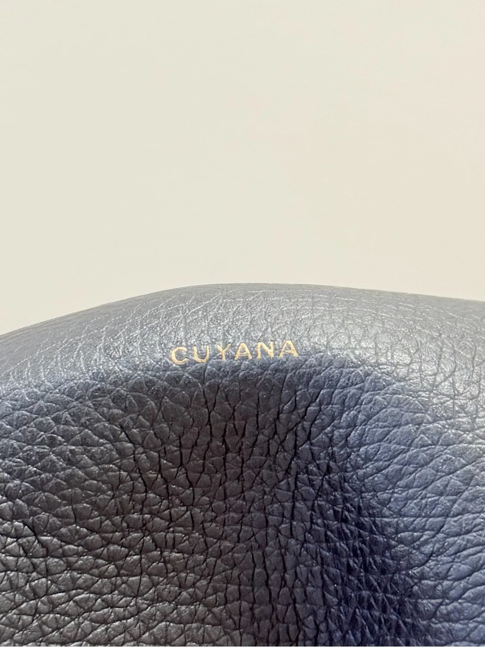 Cuyana small easy
